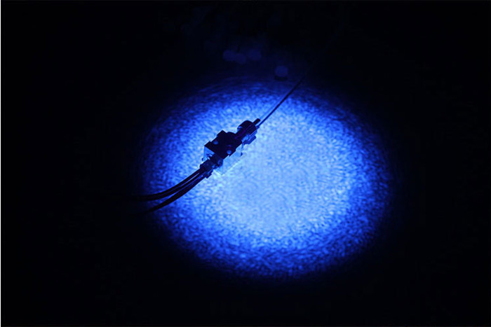 fiber coupled laser diode module