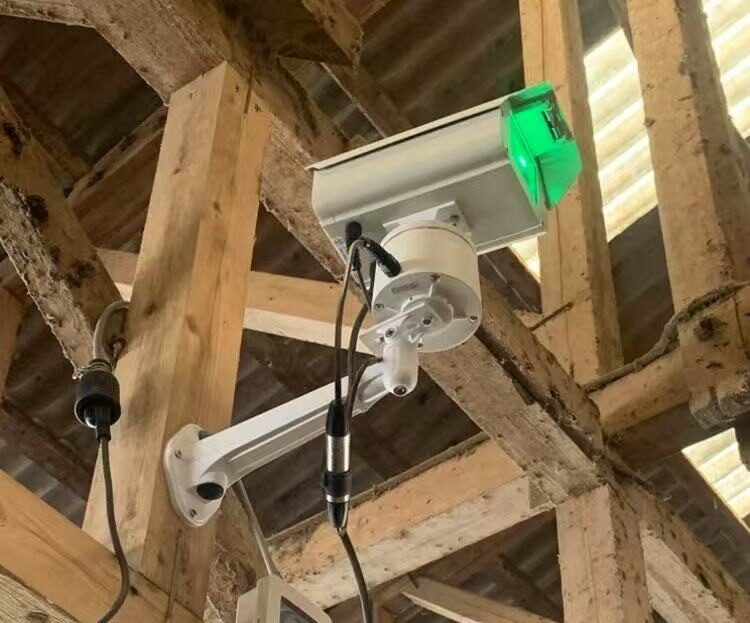 Laser Bird Deterrent Light